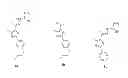 Fig. 01 - Antimicrobial substituted thiazoles and methods of use