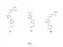 Fig. 02 - Antimicrobial substituted thiazoles and methods of use