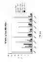 Fig. 08 - METHOD OF TREATING MUSCULAR WEAKNESS COMPRISING ADMINISTERING A COMPOSITION COMPRISING AN EFFECTIVE AMOUNT OF HISTAMINE AND/OR SEROTONIN