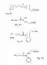 Fig. 05 - NOVEL CONJUGATES OF POLYUNSATURATED FATTY ACIDS WITH AMINES AND THERAPEUTIC USES THEREOF