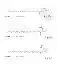 Fig. 07 - NOVEL CONJUGATES OF POLYUNSATURATED FATTY ACIDS WITH AMINES AND THERAPEUTIC USES THEREOF