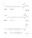 Fig. 08 - NOVEL CONJUGATES OF POLYUNSATURATED FATTY ACIDS WITH AMINES AND THERAPEUTIC USES THEREOF
