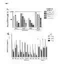 Fig. 02 - C-myc antisense oligonucleotides and methods for using the same to treat cell-proliferative disorders