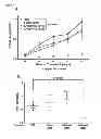 Fig. 06 - C-myc antisense oligonucleotides and methods for using the same to treat cell-proliferative disorders