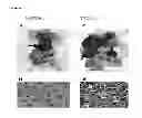 Fig. 08 - C-myc antisense oligonucleotides and methods for using the same to treat cell-proliferative disorders