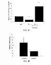 Fig. 02 - Methods of using microRNA-26a to promote angiogenesis