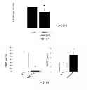 Fig. 06 - Methods of using microRNA-26a to promote angiogenesis