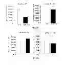 Fig. 08 - Methods of using microRNA-26a to promote angiogenesis