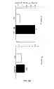 Fig. 09 - Methods of using microRNA-26a to promote angiogenesis