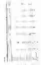 Fig. 06 - Method of feeding livestock to improve carcass characteristics