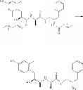 Fig. 07 - Enkephalin analogues