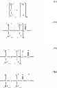 Fig. 03 - Molecular gram stain