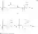 Fig. 04 - Molecular gram stain