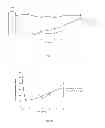 Fig. 15 - INSULIN ANALOGUES OF PROLONGED ACTIVITY