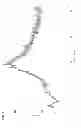 Fig. 02 - Nucleoside phosphoramidates