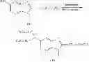 Fig. 06 - Process for the preparation of bendamustine hydrochloride