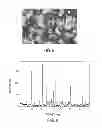 Fig. 05 - Crystalline forms of a 3-[2-methanesulfonyl-1-(4-trifluoromethyl-phenoxy)ethyl]pyrrolidine compound