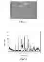 Fig. 08 - Crystalline forms of a 3-[2-methanesulfonyl-1-(4-trifluoromethyl-phenoxy)ethyl]pyrrolidine compound