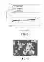 Fig. 10 - Crystalline forms of a 3-[2-methanesulfonyl-1-(4-trifluoromethyl-phenoxy)ethyl]pyrrolidine compound
