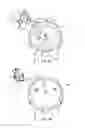 Fig. 05 - VARIABLE PRESSURE PLANT ESSENTIAL OIL EXTRACTION DEVICES AND METHODS