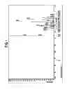Fig. 02 - [3-(2-norbornyl)-2-norbornyl]silane compound and making method