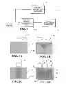Fig. 02 - CONTROLLED HIGH EFFICIENCY LESION FORMATION USING HIGH INTENSITY ULTRASOUND