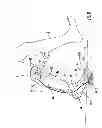Fig. 09 - Orthotic feedback system