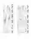 Fig. 71 - Injection needle and device