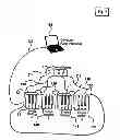 Fig. 08 - Method for fluid collection from animals