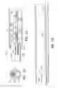 Fig. 10 - AGENT DELIVERY CATHETER HAVING RADIALLY EXPANDABLE CENTERING SUPPORT MEMBER