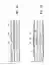 Fig. 13 - AGENT DELIVERY CATHETER HAVING RADIALLY EXPANDABLE CENTERING SUPPORT MEMBER