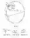 Fig. 29 - Implantable therapeutic device