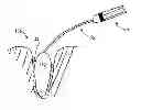 Fig. 01 - Multipurpose membranes, methods for forming, and applications thereof