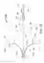 Fig. 11 - Transvascular catheter for extravascular delivery