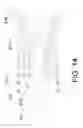 Fig. 13 - Transvascular catheter for extravascular delivery