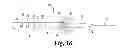 Fig. 07 - Implements for identifying sheath migration