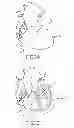 Fig. 04 - Cardiac tissue elasticity sensing