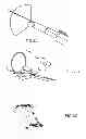 Fig. 09 - APPARATUS FOR GUIDING A MEDICAL TOOL