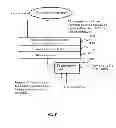 Fig. 09 - CELL ACTIVATION DEVICE