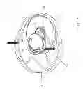Fig. 09 - Device for neuro-physiologic stimulation