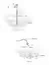 Fig. 09 - SYSTEMS AND METHODS TO PLACE ONE OR MORE LEADS IN MUSCLE FOR PROVIDING ELECTRICAL STIMULATION TO TREAT PAIN