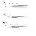Fig. 02 - Delivery system with curved preloaded catheter