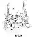Fig. 49 - REPLACEMENT VALVE AND ANCHOR