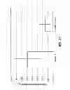 Fig. 22 - Apparatus, system, and method for intraocular lens power calculation using a regression formula incorporating corneal spherical aberration