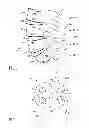 Fig. 02 - EXPANDABLE INTERBODY IMPLANT AND METHOD