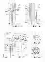 Fig. 08 - EXPANDABLE INTERBODY IMPLANT AND METHOD