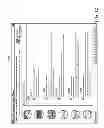 Fig. 16 - Method of automated calibration and diagnosis of laboratory instruments