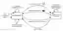 Fig. 01 - Single interface for local and remote speech synthesis