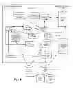 Fig. 07 - COHORT IDENTIFICATION SYSTEM