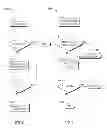 Fig. 06 - Personal medical information storage device and system